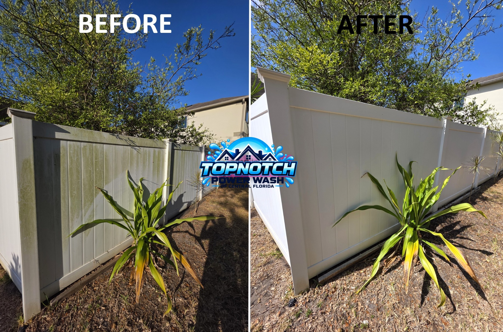 Fence washing before and after in Dr. Phillips by TopNotch Power Wash